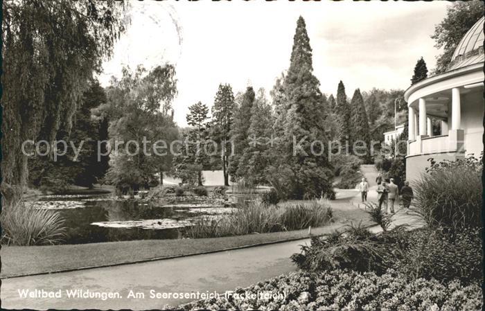 Bad Wildungen Seerosenteich