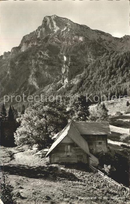 Bad Reichenhall Steineralm am Hochstaufen