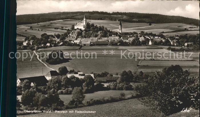 Pleystein mit Finkenhammer