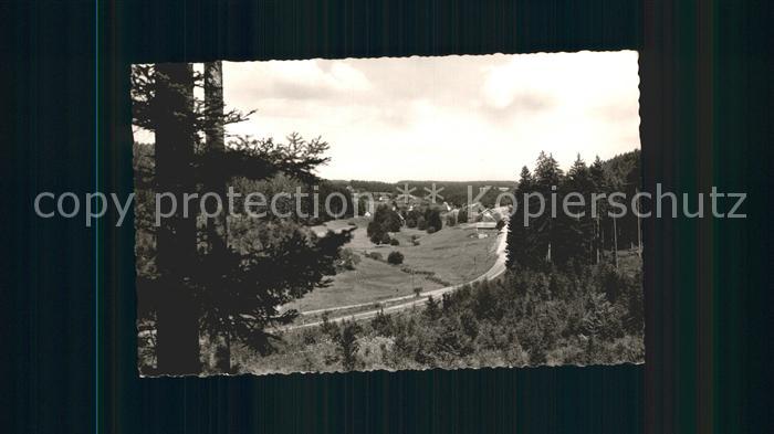 Koenigsfeld Schwarzwald mit Burgberg im Hoernlebachtal