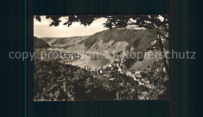 Brodenbach Moselpartie