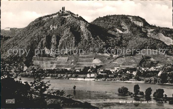 Drachenfels Rheinpartie