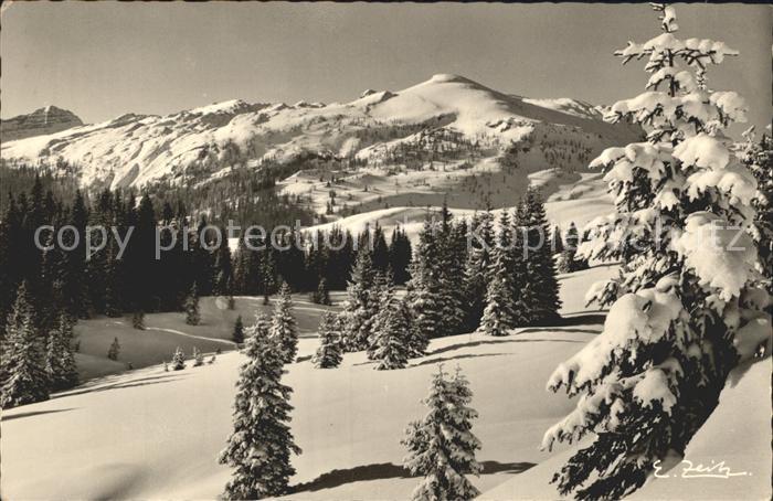 Winklmoos Winkelmoos Kammerkoehr