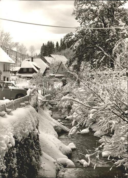 Bad Rippoldsau Schwarzwald Partie am Bach im Winter