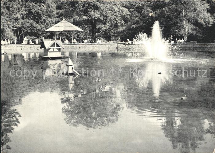 Bad Oeynhausen Goldfischteich