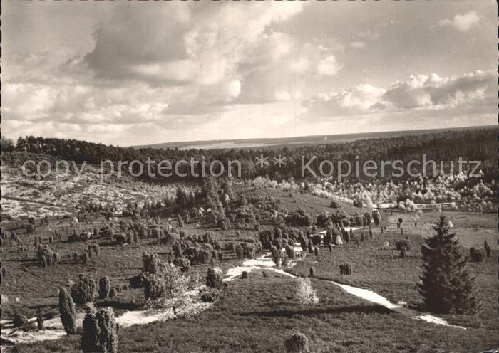 Wilsede Lueneburger Heide Totengrund