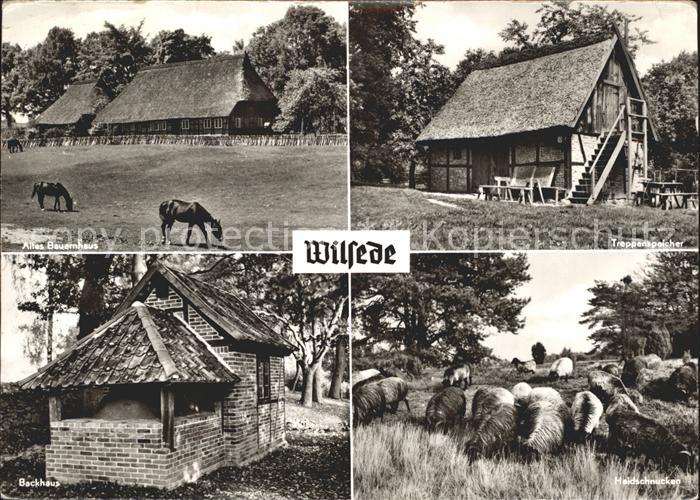 Wilsede Lueneburger Heide Treppenspeicher Schafe Pferde
