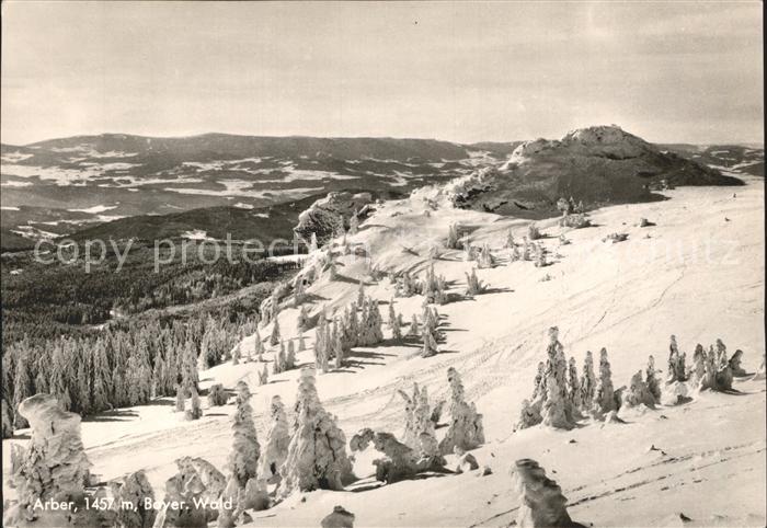 Bayerisch Eisenstein Arber Richard-Wagner-Kopf