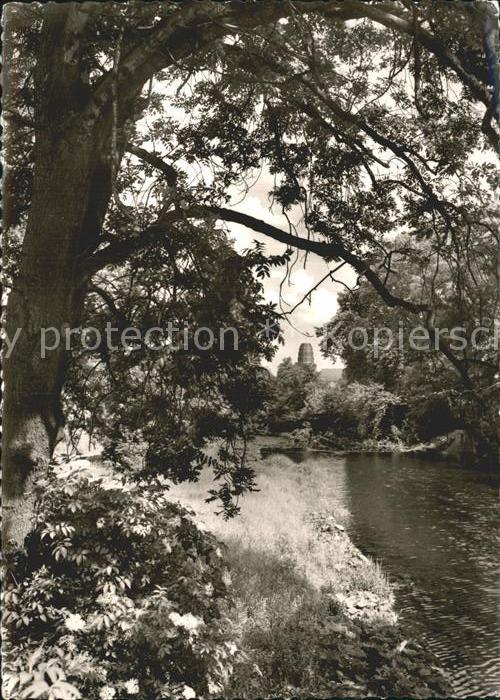 Bad Neuenahr-Ahrweiler Ahrpartie