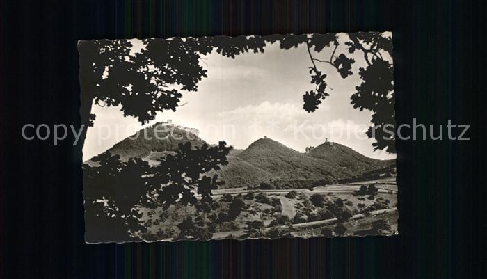 Annweiler Trifels Burg