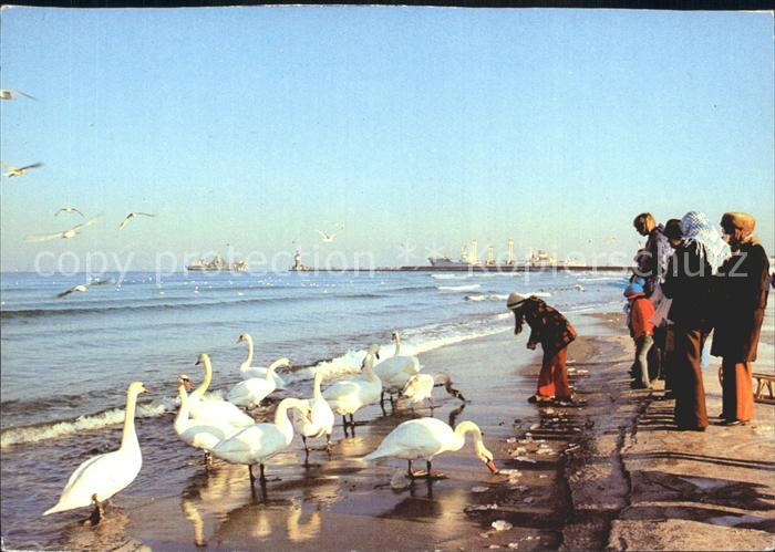 Rostock-Warnemuende Winter am Strand Schwaene Schiffe