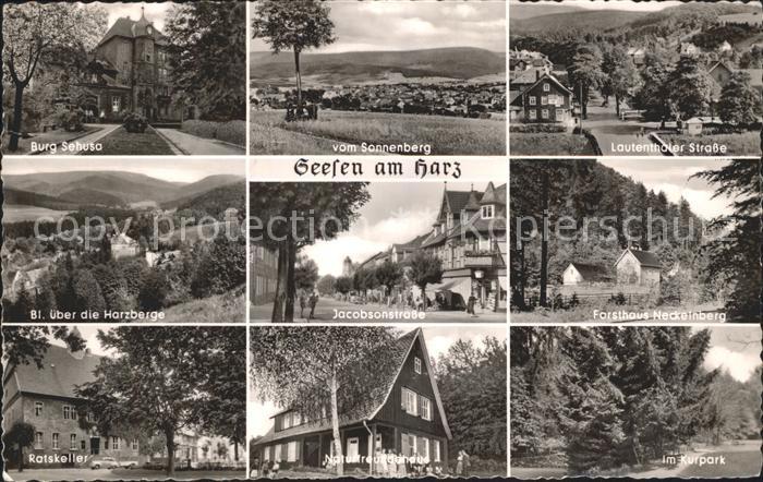 Seesen Harz Burg Sehusa Ratskeller Kurpark