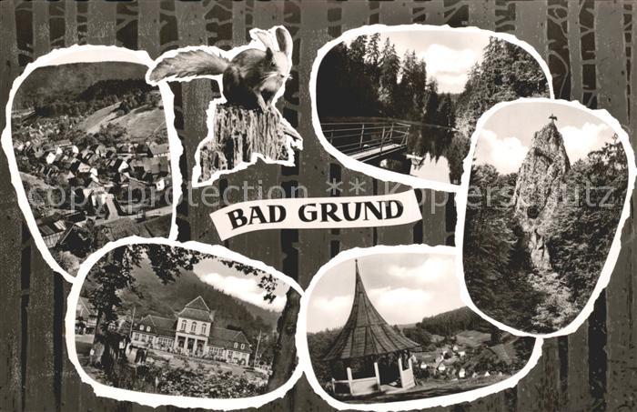 Bad Grund Teilansicht Eichhoernchen