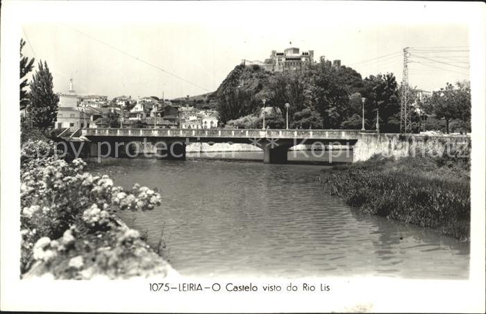 Leiria Castelo visto de Rio Lis