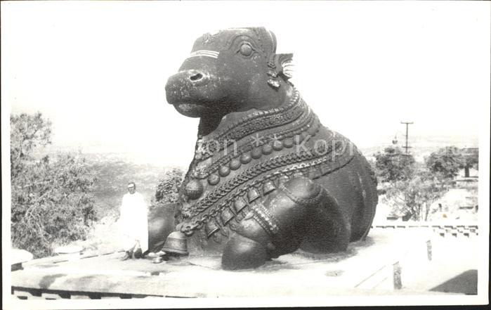 Mysore Chamundi Bull