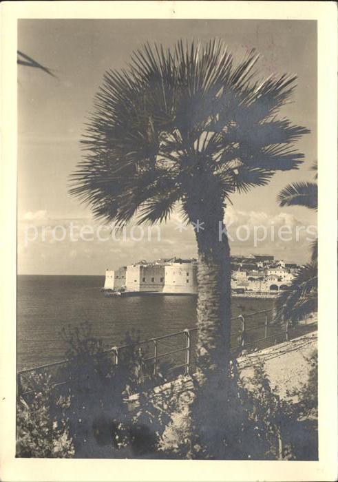 Yugoslavie Jugoslawien Burg mit Plame