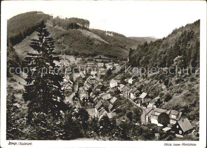 Zorge Blick zum Pferdchen