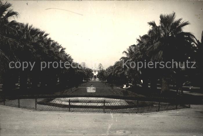 Casablanca Une Allee du Parc Layutey