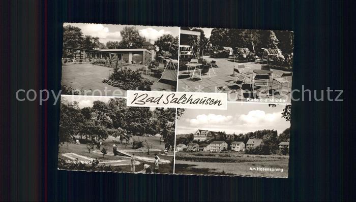 Bad Salzhausen Kurpark Milchbar Minigolfplatz Am Hasensprung