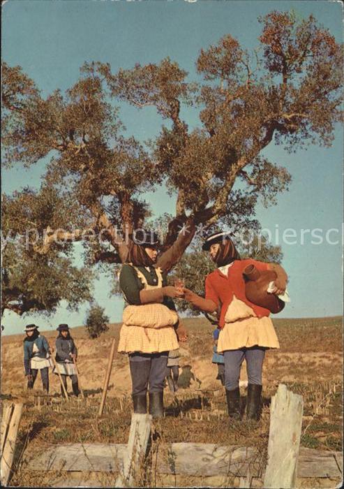 Alentejo Ceifeiros Tipico Bauern