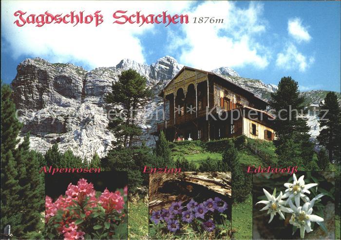 Schachen Garmisch Jagdschloss Alpenrosen Enzian Edelweiss Huber Karte Nr. 8126