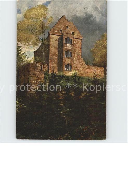 Neckarkatzenbach Minneburg am Neckar Burgruine