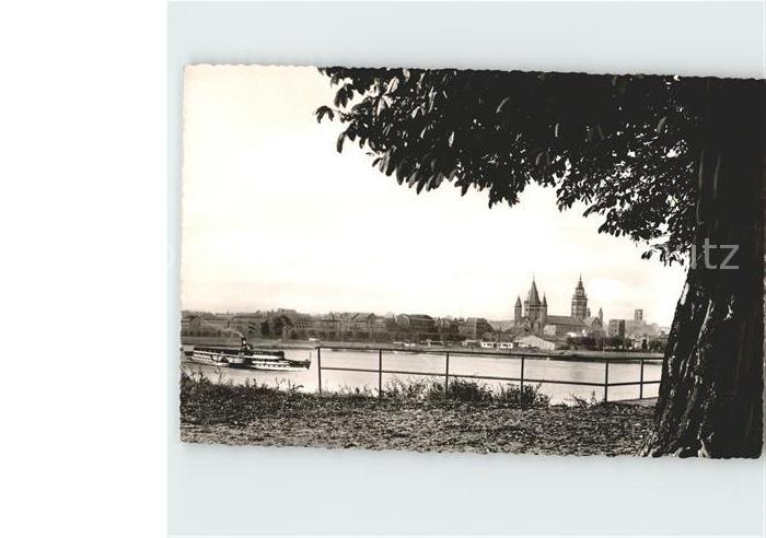 Mainz Rhein Rheinpartie Dom Dampfer