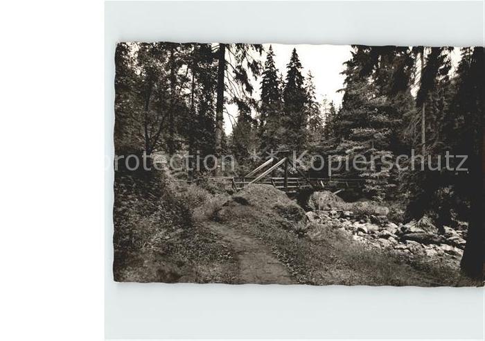 Hoellental Frankenwald Teufelssteg