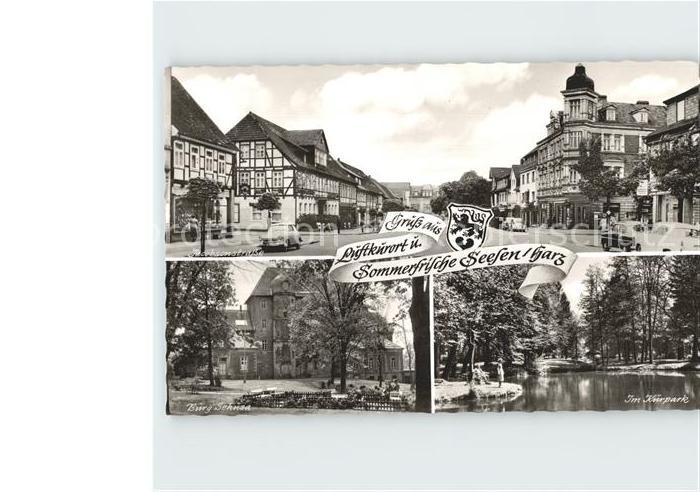 Seesen Harz Kurpark Jacobsonstrasse Burg Sehnsa