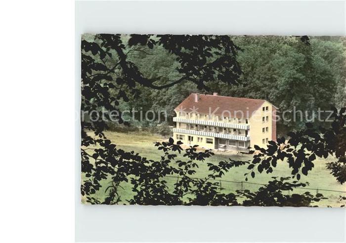 Bad Driburg Pension Am Kurpark