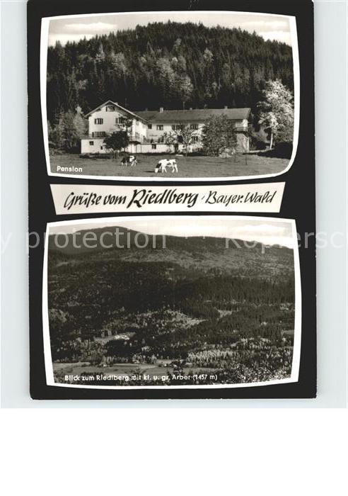 Riedlberg Pension Arber