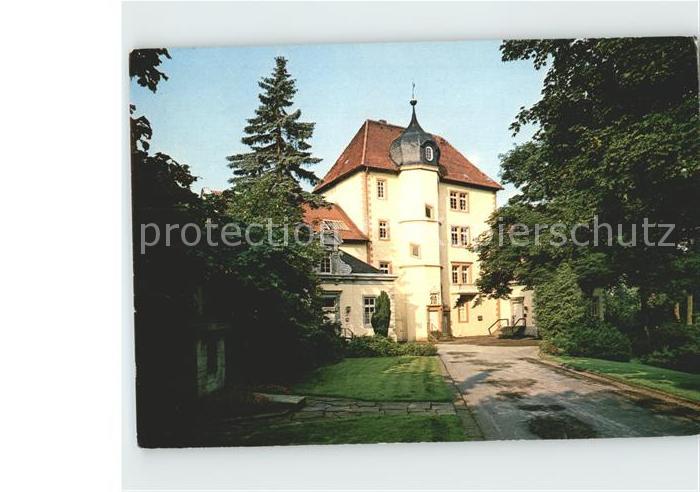 Seesen Harz Burg Sehusa