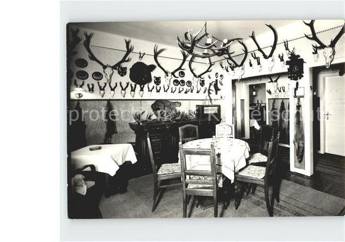 Zell Mosel Forsthaus Irlenborn Wildpark