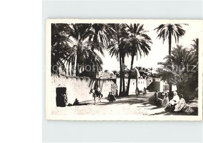 Scenes et Types Nr. 1229 Route a travers l'Oasis