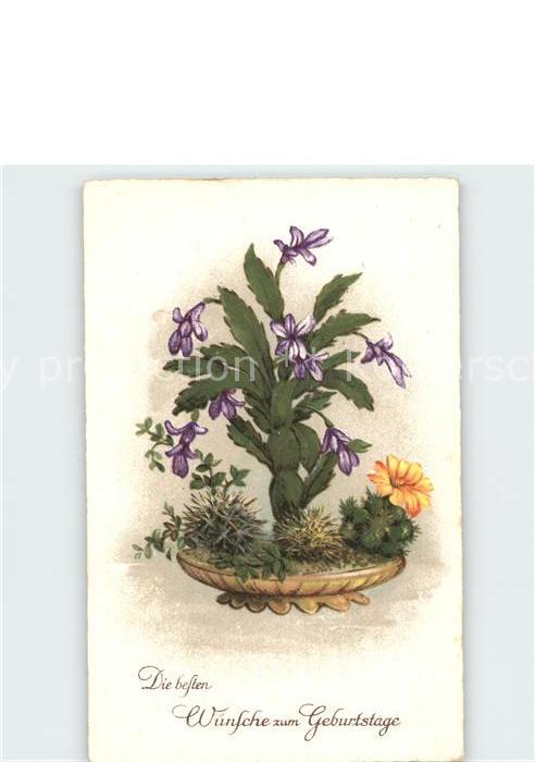 Geburtstag Blumen