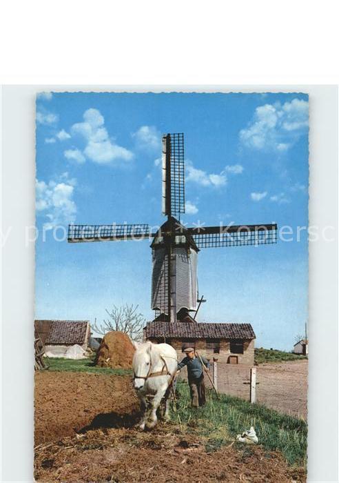 Windmuehle Landwirtschaft Pferd