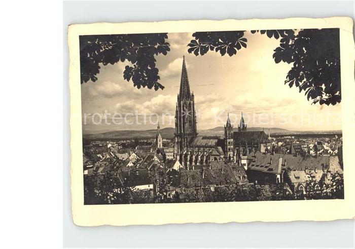 Foto Mueller Adolf Freiburg im Breisgau Muenster