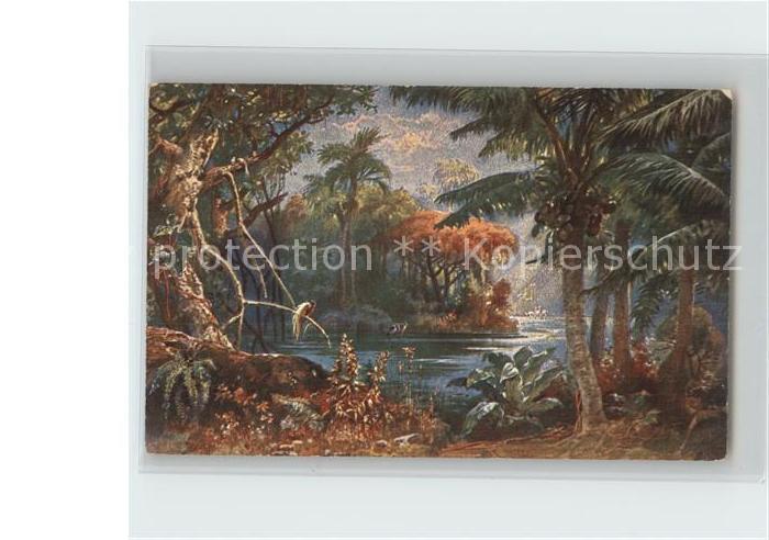 Kamerun Afrika Landschaft Kolonialkriegerdank Kuenstlerkarte