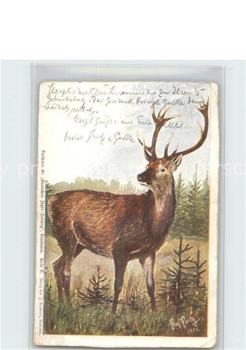 Hirsch Deutsche Jaeger-Zeitung Neudamm