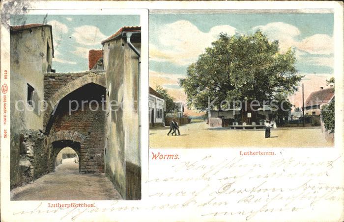 Worms Rhein Lutherpfoertchen Lutherbaum
