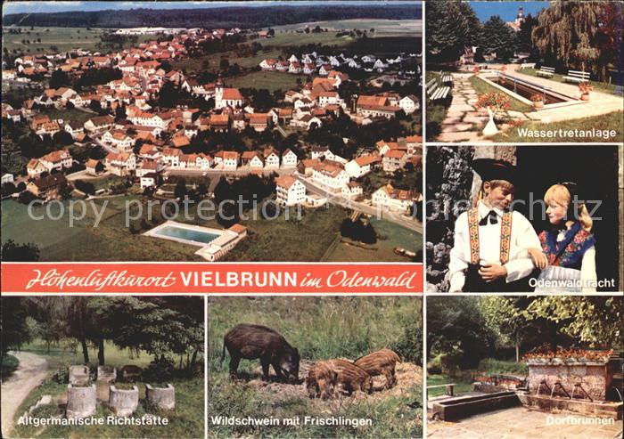 Vielbrunn Wasserretanlage Tracht Dorfbrunnen Wildschwein Frischlingen