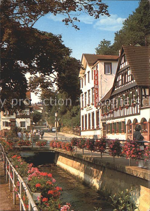 Bad Herrenalb Palmbraeu Hotel