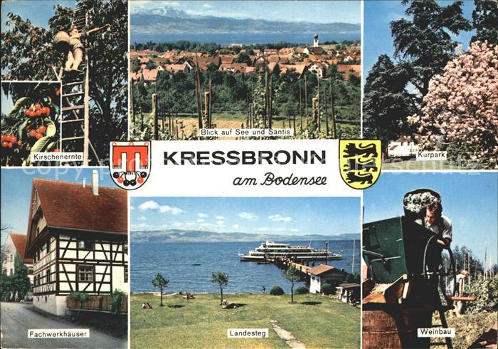 Kressbronn Bodensee Kurpark Weinbau Saentis Landesteg Fachwerkhaeuser