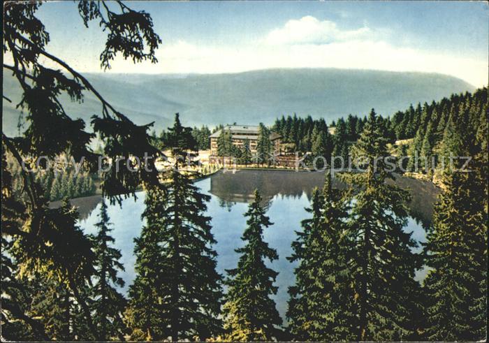 Mummelsee Berghotel