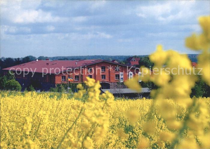 Bollewick Feldsteinscheune