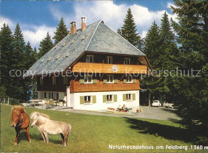 Feldberg Schwarzwald Naturfreundehaus Pony