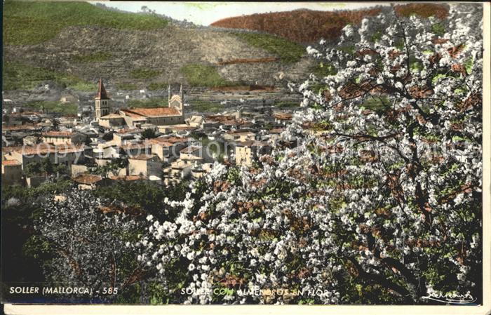 Soller Mallorca Spanien Gesamtansicht