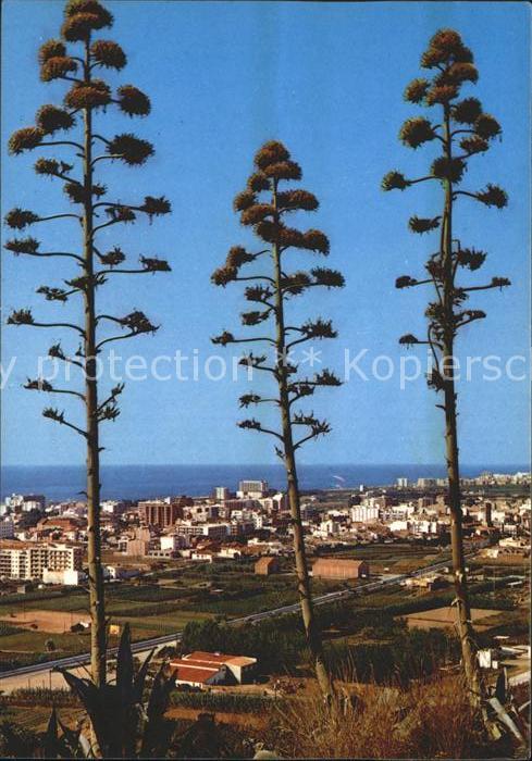 Pineda de Mar Gesamtansicht