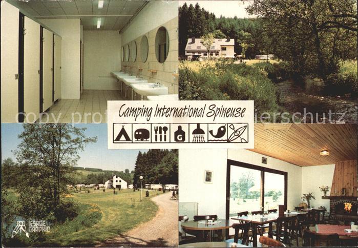 Neufchateau Vosges Camping International Spineuse