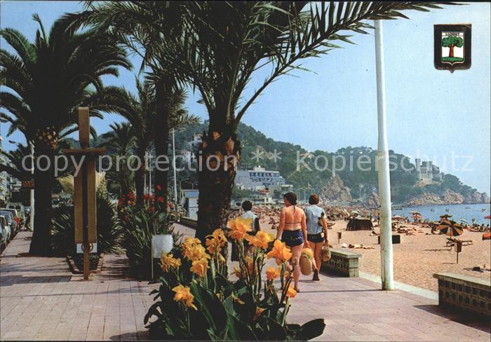 Lloret de Mar Walk of the Palmeras